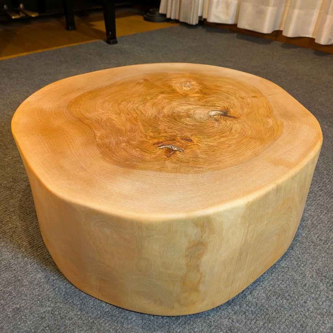 オールド　ウダイカンバ　切り株　輪切り　高さ約15㎝