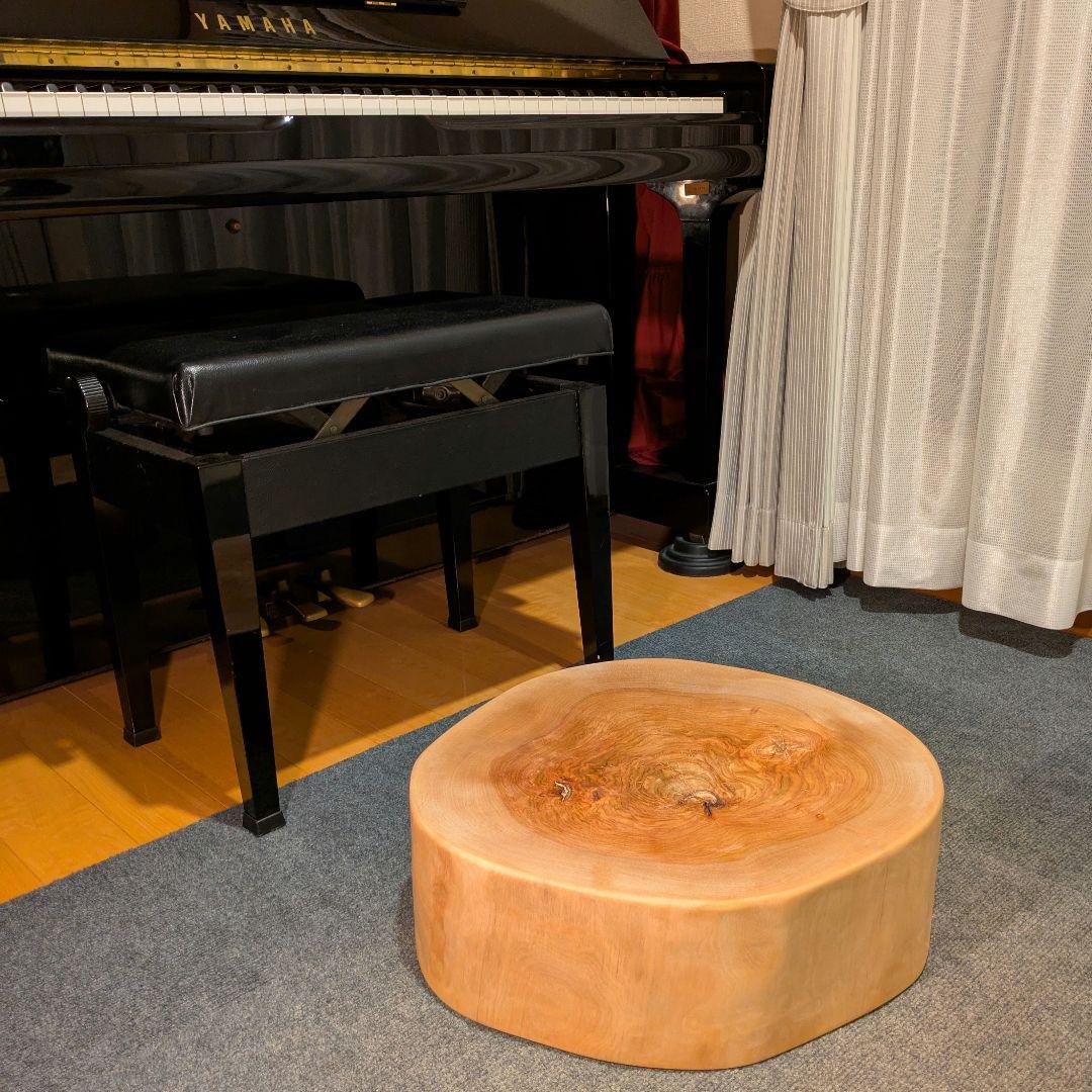 オールド　ウダイカンバ　切り株　輪切り　高さ約15㎝