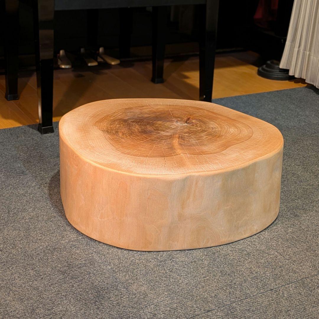 オールド　ウダイカンバ　切り株　輪切り　高さ約15㎝