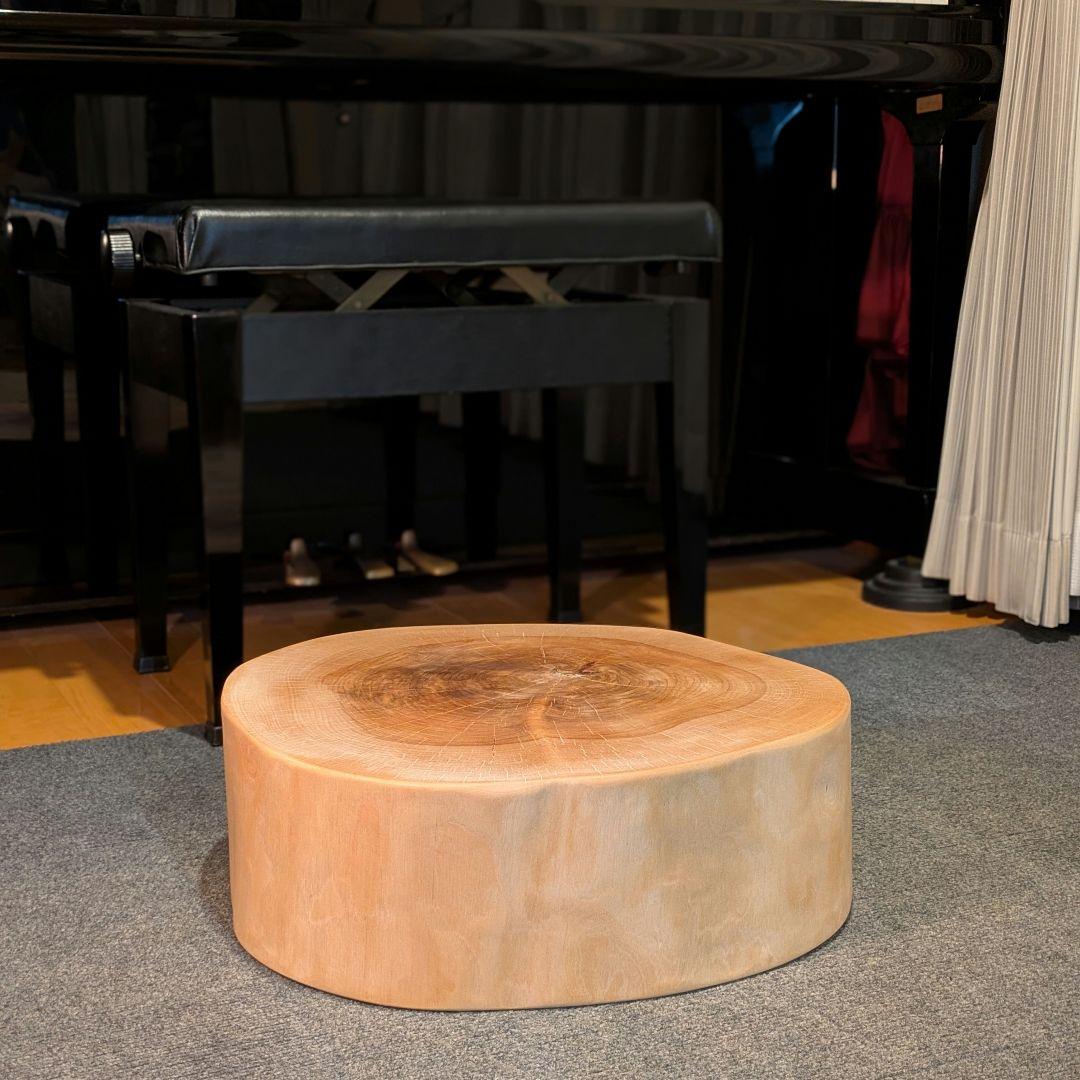 オールド　ウダイカンバ　切り株　輪切り　高さ約15㎝