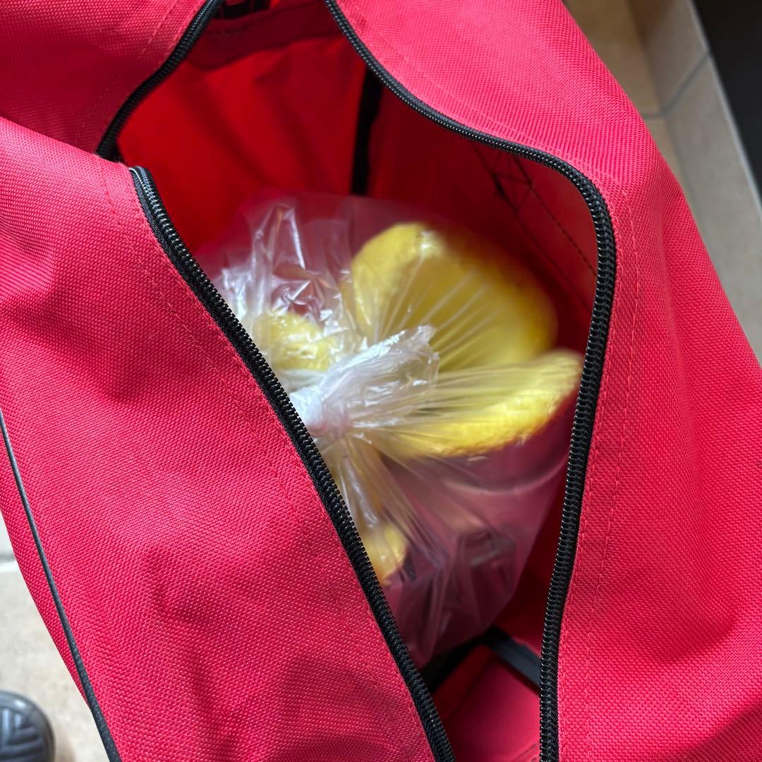 スキー板 スティック ブーツセット【1回使用】