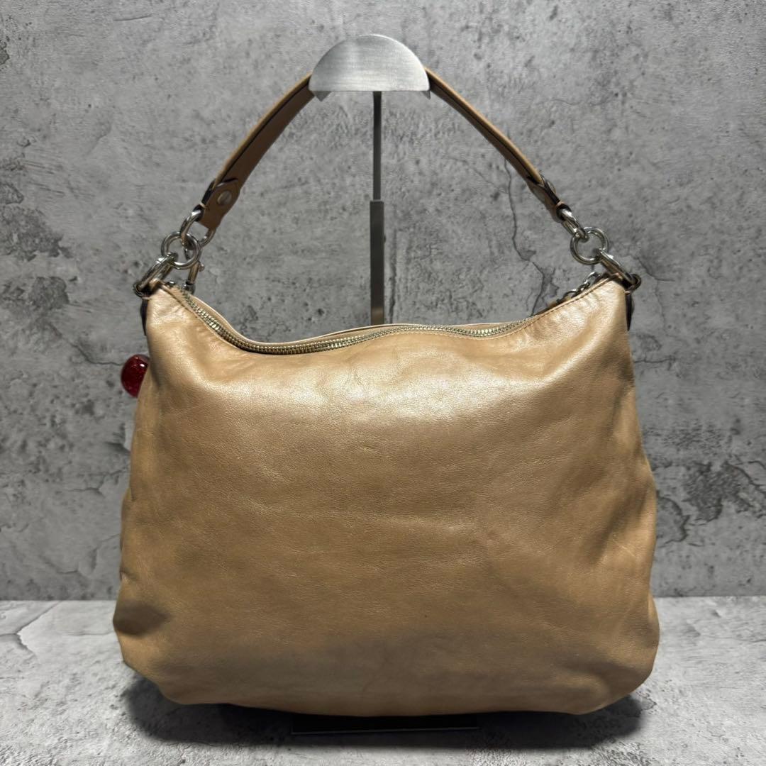 バッグ Y2K COACH POPPY Double pocket 2way bag