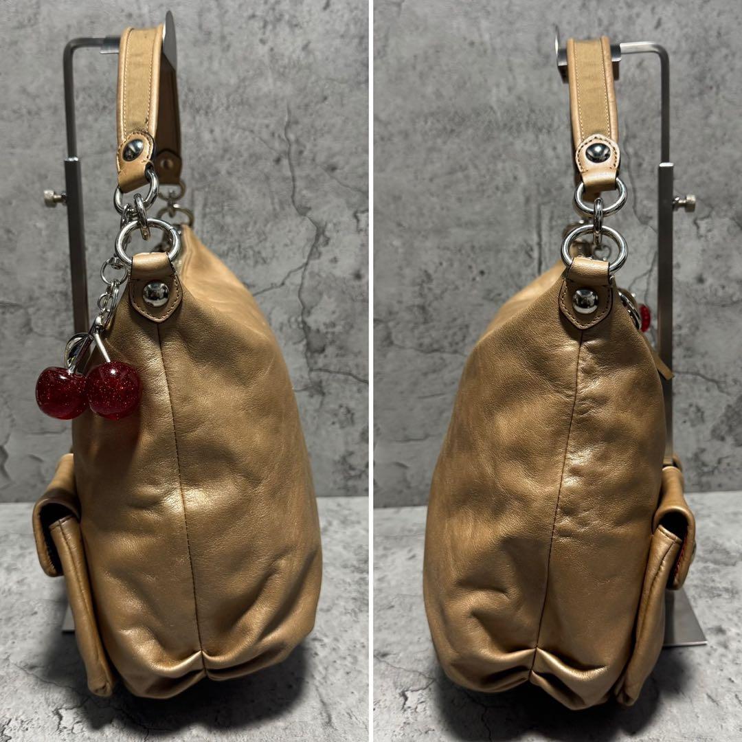 バッグ Y2K COACH POPPY Double pocket 2way bag