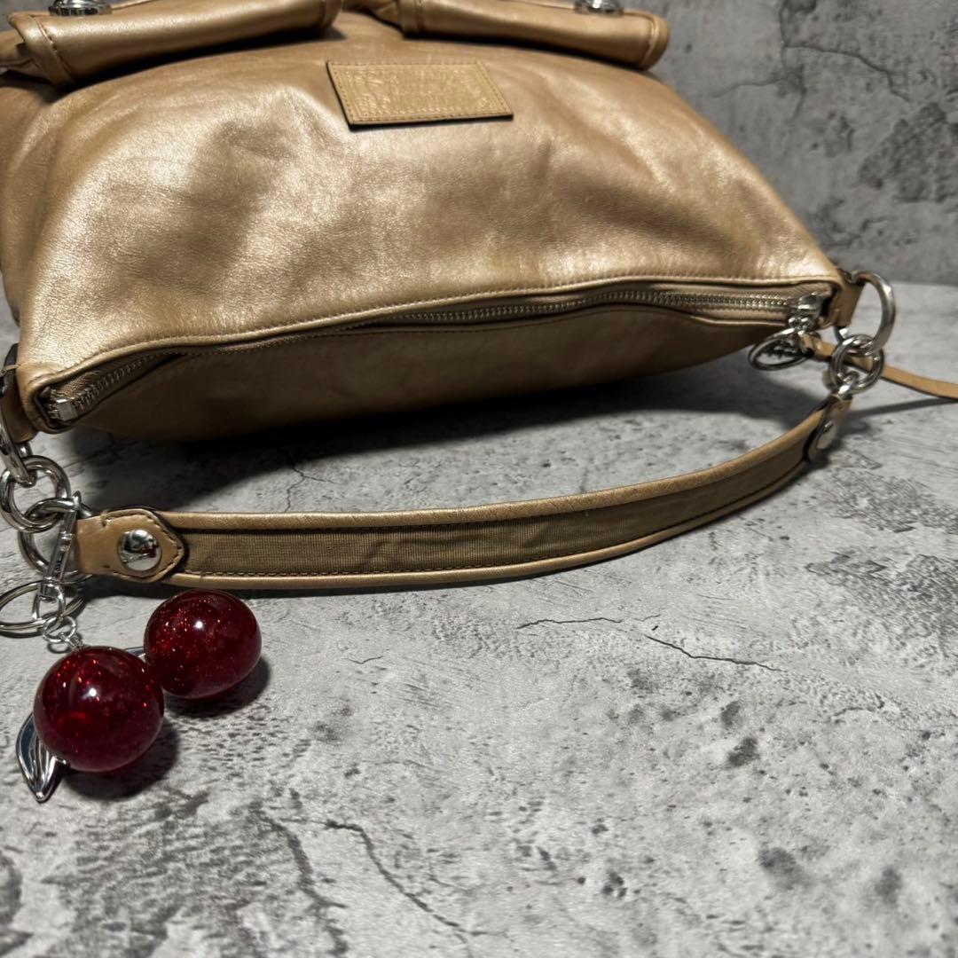 バッグ Y2K COACH POPPY Double pocket 2way bag