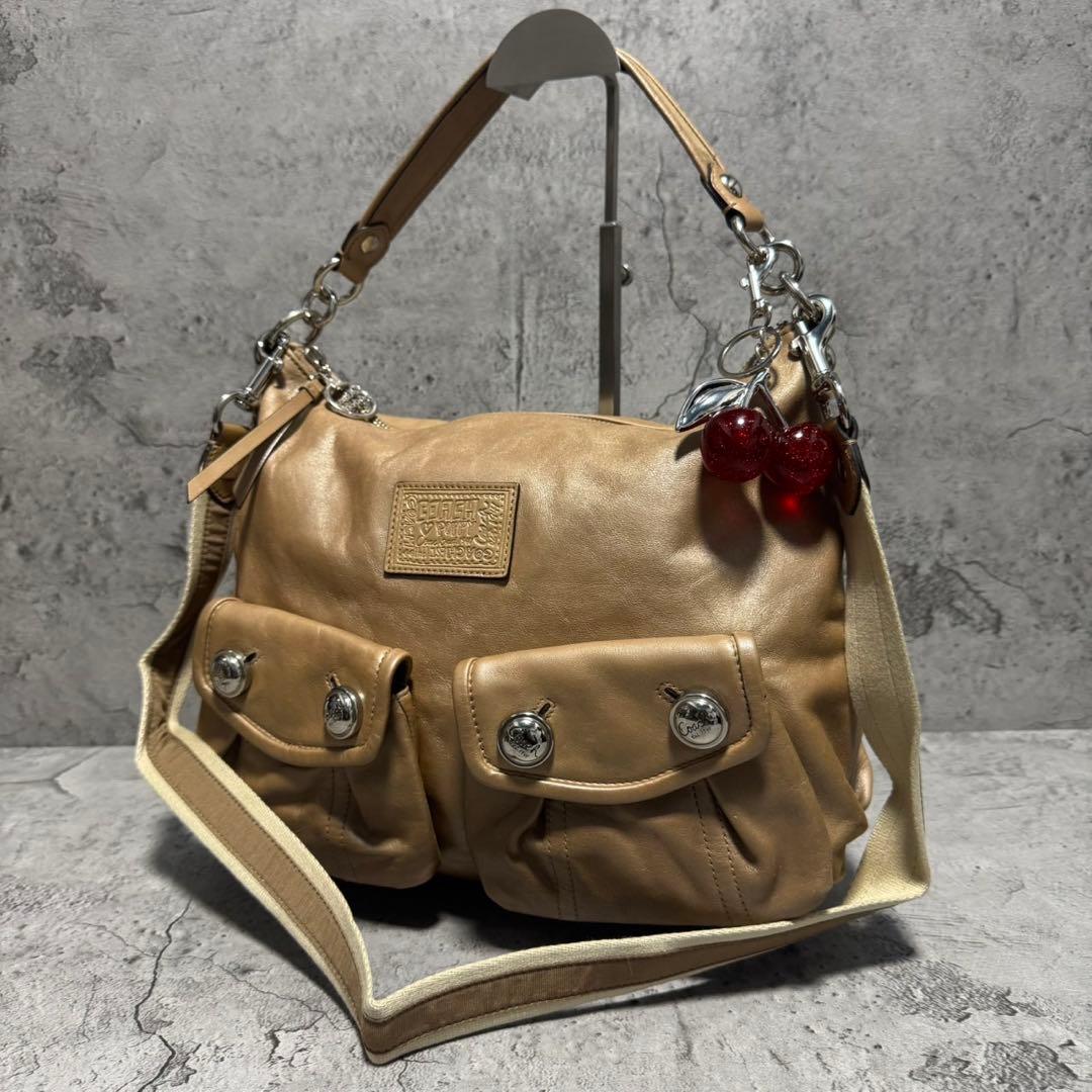 バッグ Y2K COACH POPPY Double pocket 2way bag