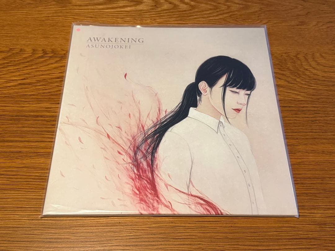 明日の叙景　わたしと私だったもの AWAKENING LPレコード