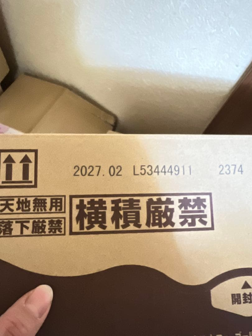 ネスカフェ ゴールドブレンド エコ＆システムパック 95g 12個