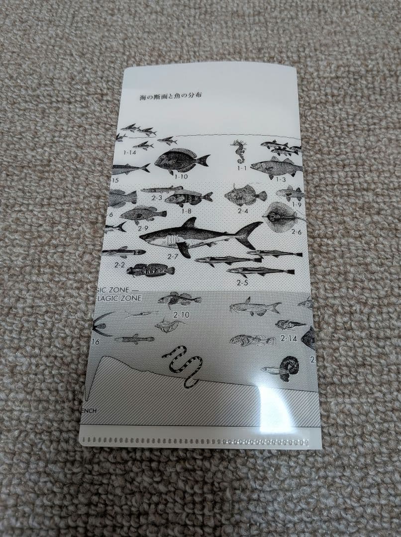 【美品】サカナクション 魚図鑑 完全生産限定盤プレミアムBOX（BOXなし）