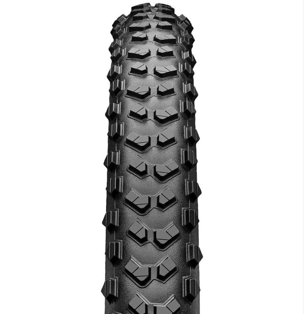 12701 2本セット (コンチネンタル) チューブレスレディ