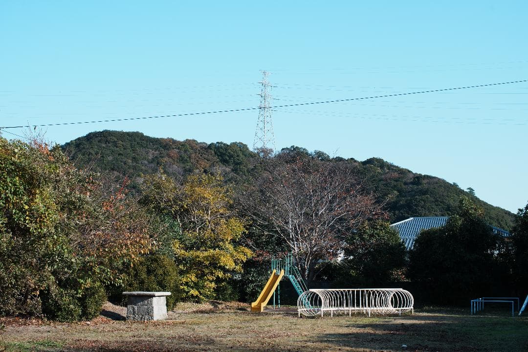 【整備＆テスト済】Nikon Ai Nikkor 50mm F1.2. 971