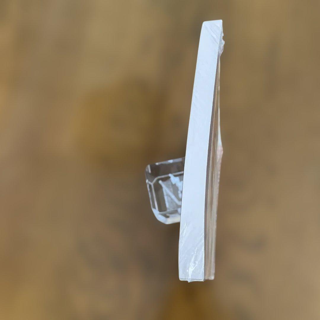 洋書 Toni Morrison: A Black Tiresias