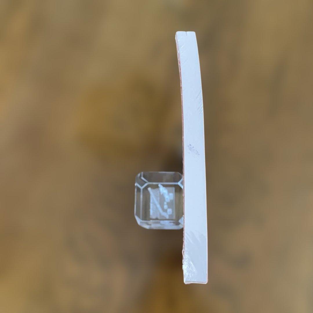 洋書 Toni Morrison: A Black Tiresias