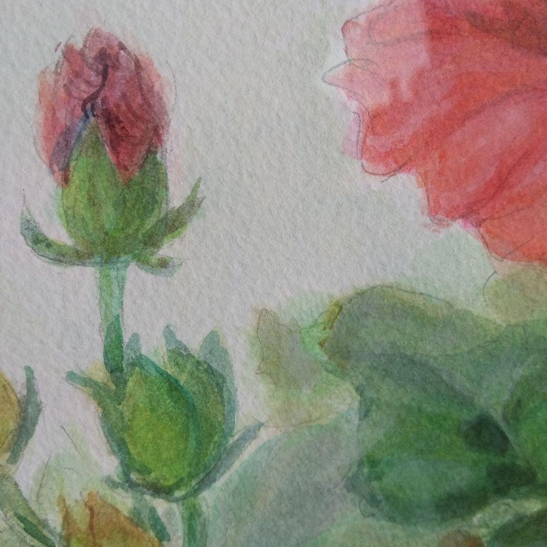 ハイビスカス。画家の作品、古典画水彩、最終値下げ。