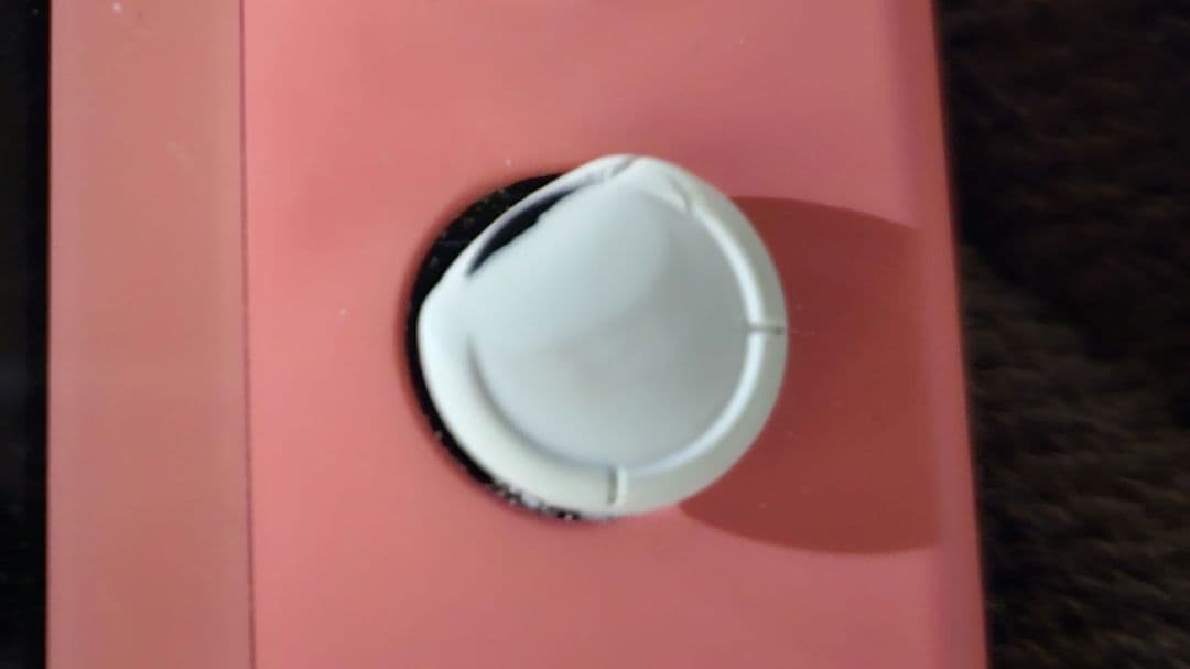 Nintendo Switch Lite ピンク　LRスティック摩耗