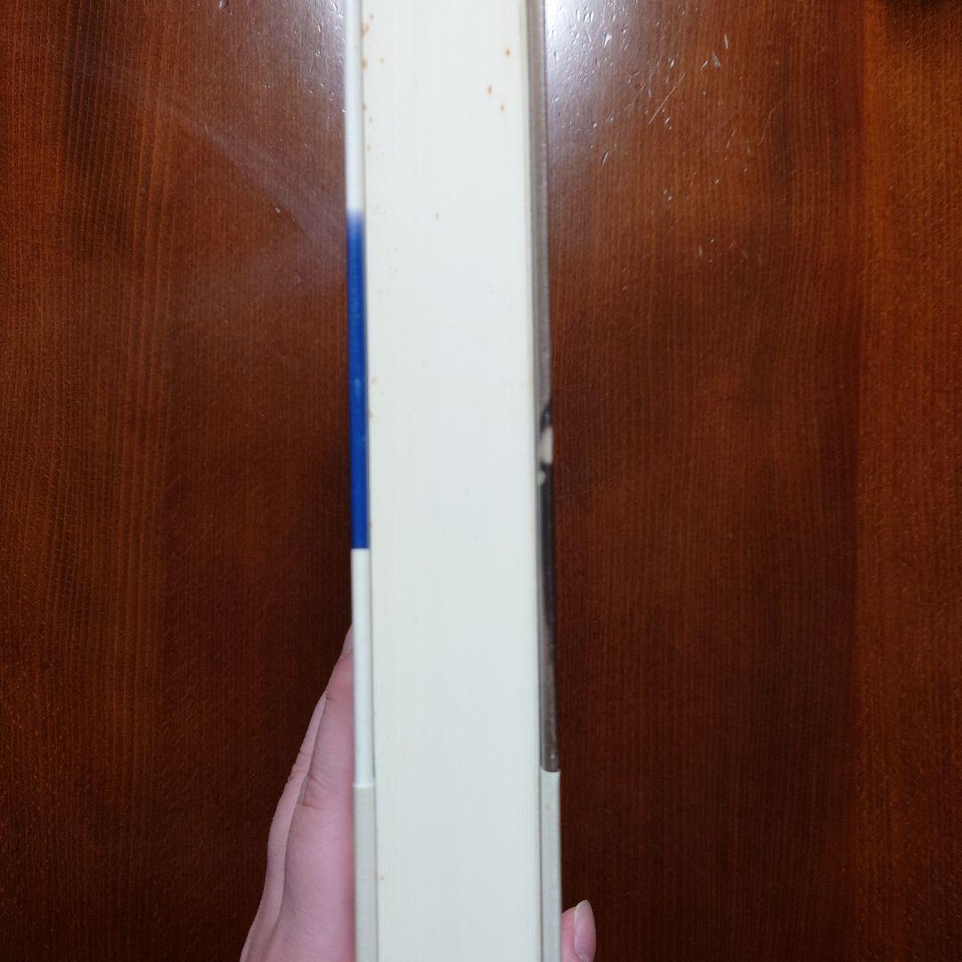 宮沢賢治大事典