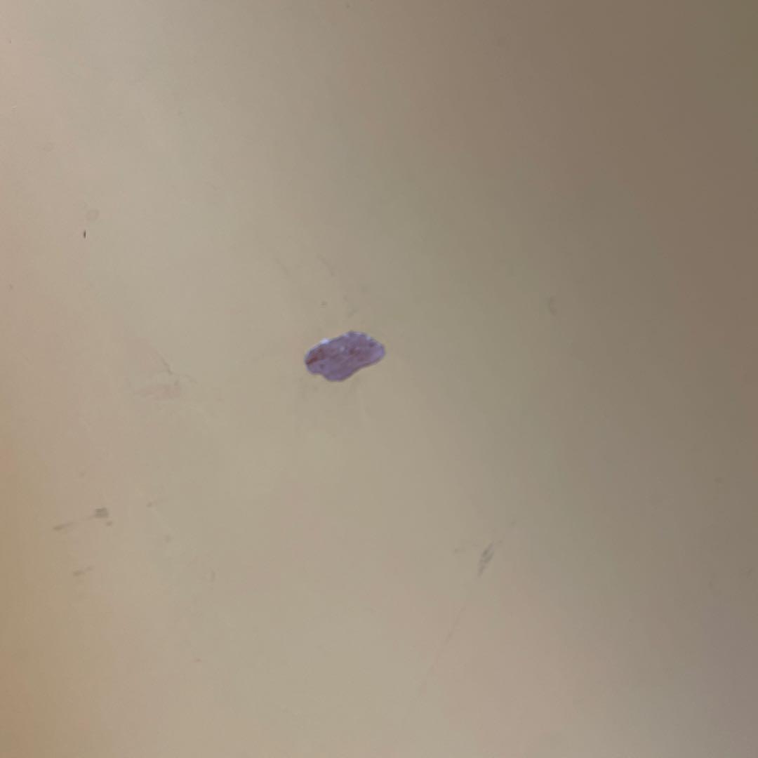 #フリッツハンセン#セブンチェア#ライトイエロー#ダイニングチェア#希少カラー