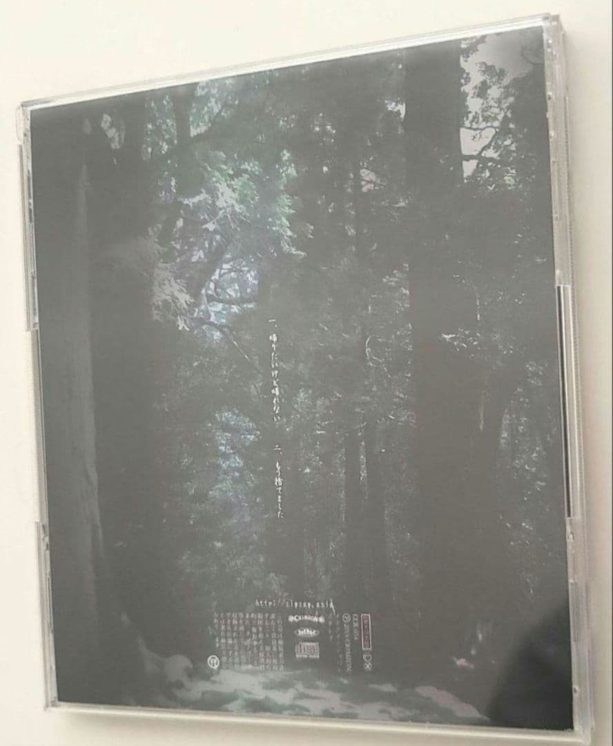 真天地開闢集団 ジグザグ 帰りたいけど帰れない 初回限定盤 御朱印帳 付き