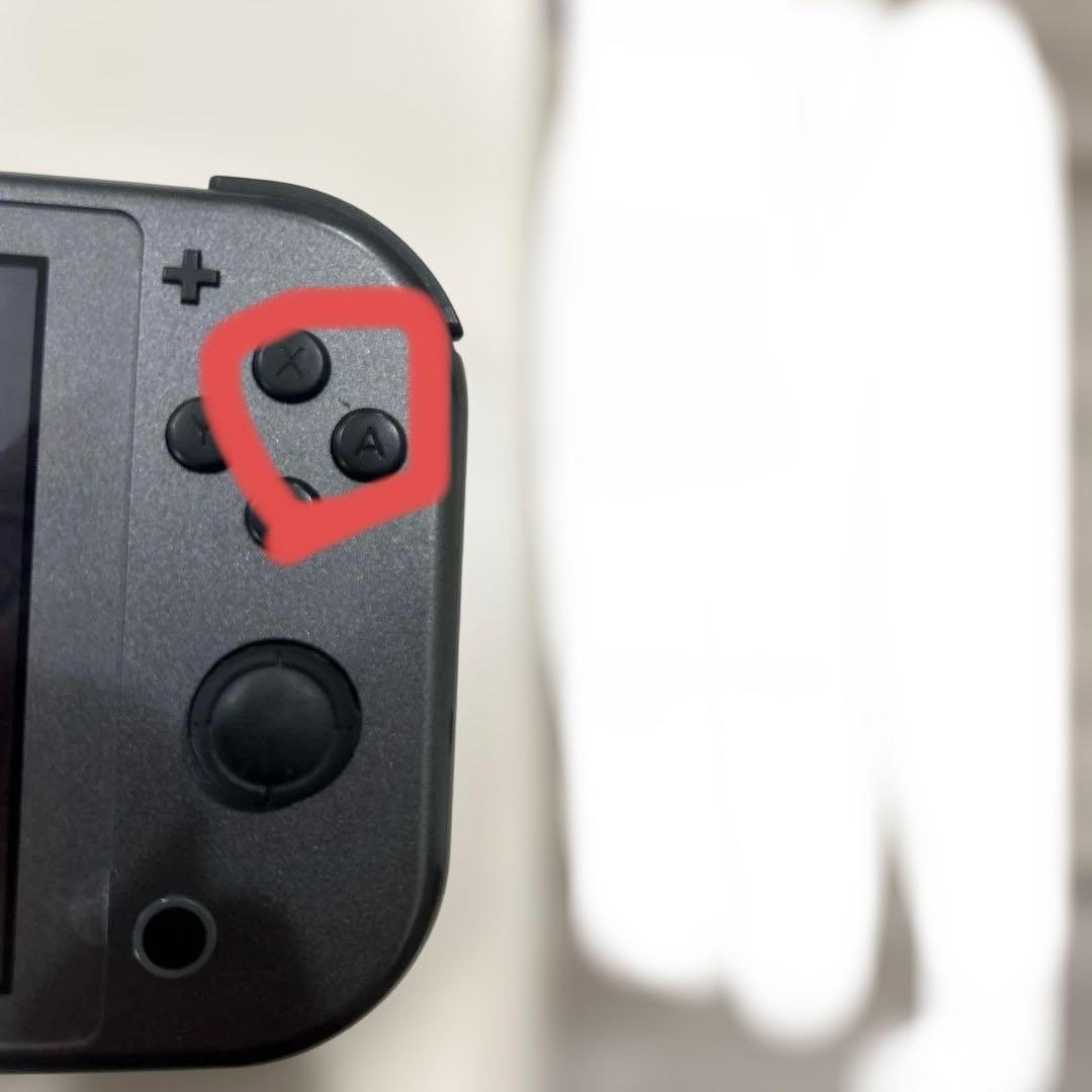 Nintendoスイッチライト　ディアルガ　パルキア