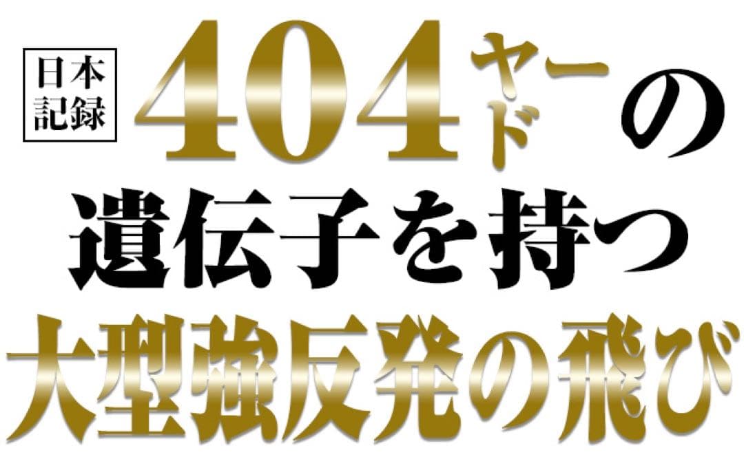 実質高反発の最強適合★ワークスゴルフ ワイルドマキシマックス 適合限界反発 1W