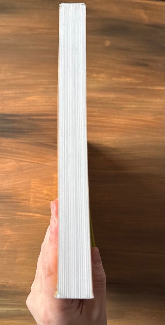 洋書 ed emberley's Drawing Book