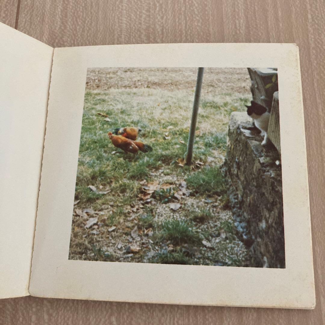 アート・デザイン・音楽 Cock Fight Dance - Sol Lewitt