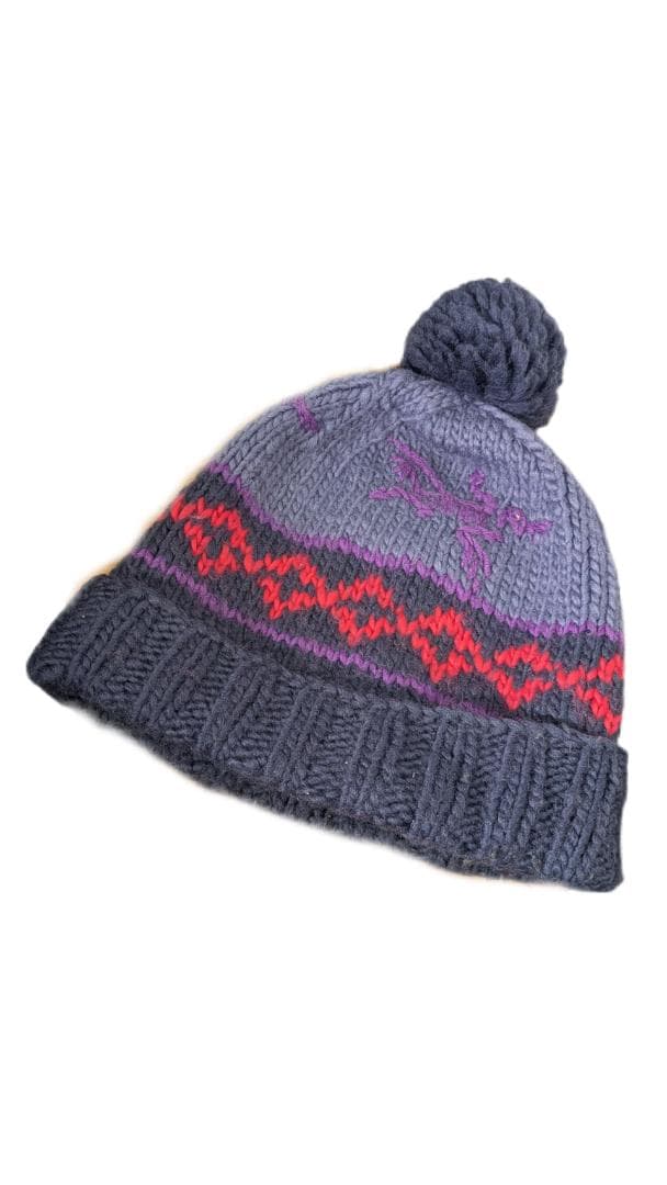 ARCTERYX アークテリクス ニット帽