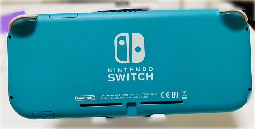 Nintendo Switch Lite 本体のみ