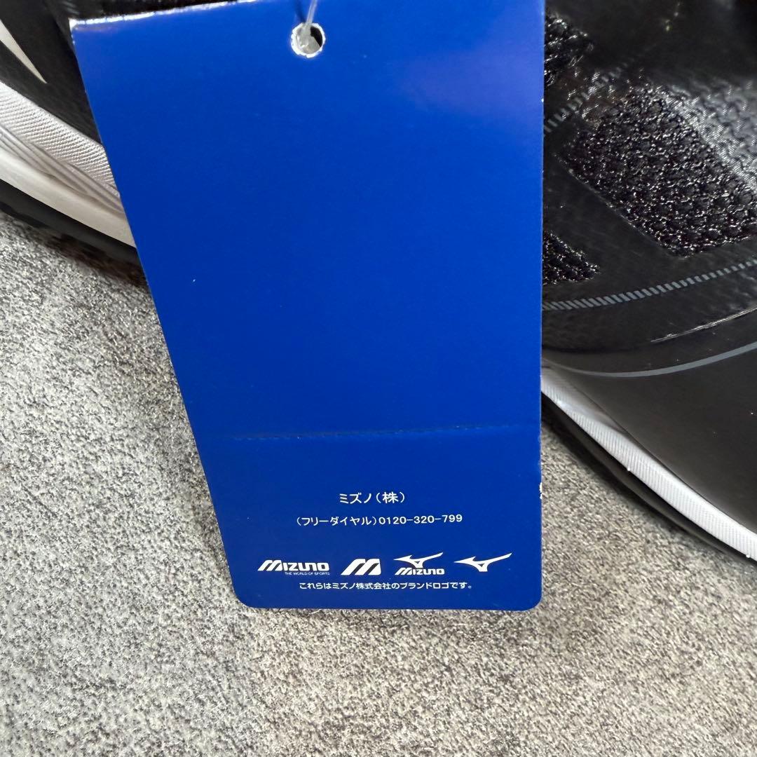 極美品　ミズノ　MIZUNO テニスシューズ　ウエーブエクシード 4 SW OC