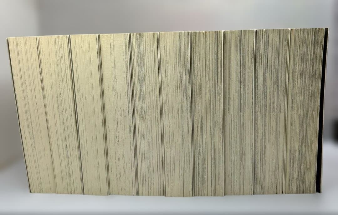 西遊妖猿伝　諸星大二郎　大唐篇　全10巻