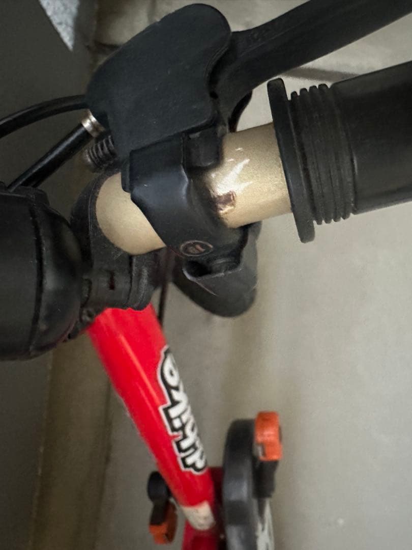 D-Bike Master 12 （ディーバイク）　キックバイク　自転車