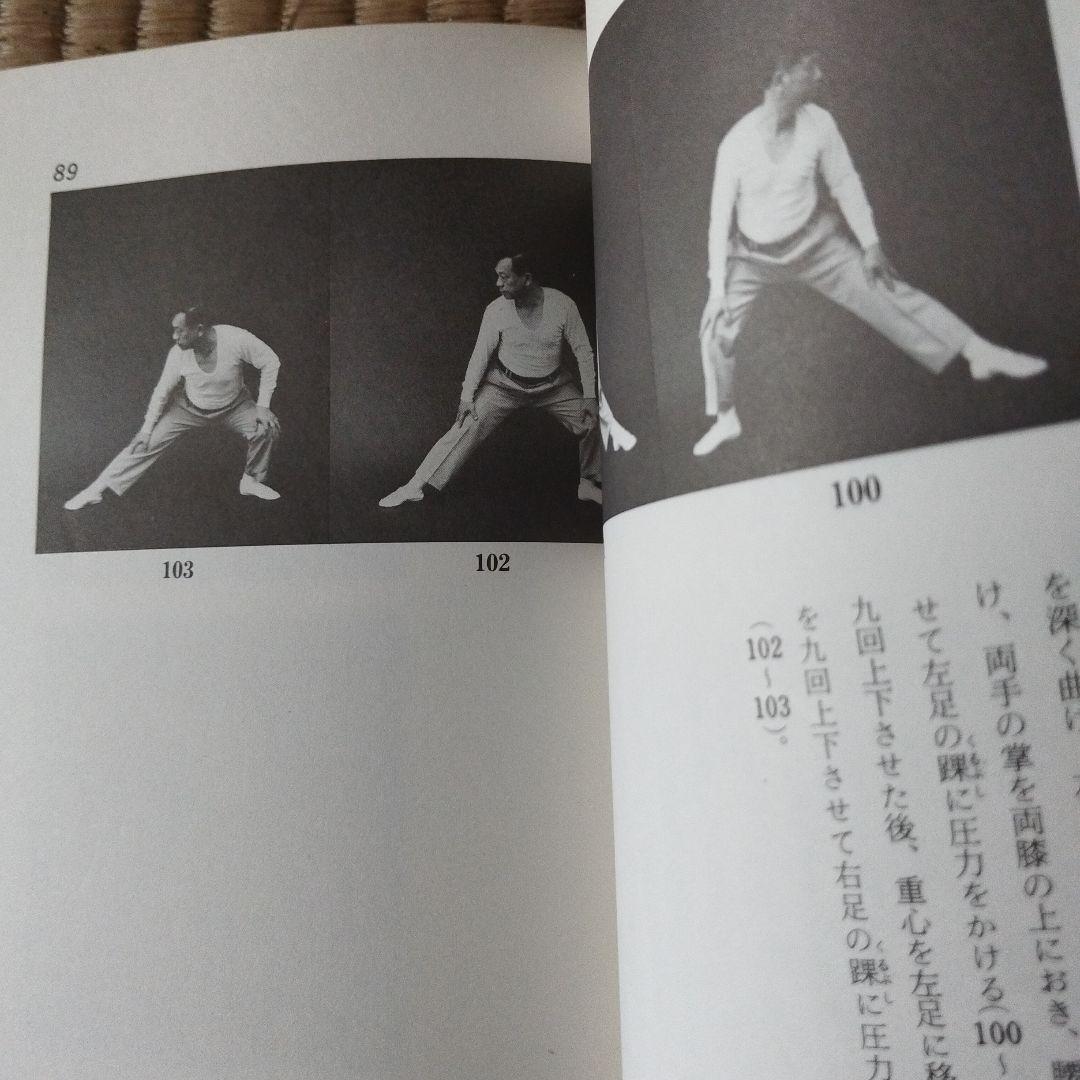 気功導引法 汪調源著