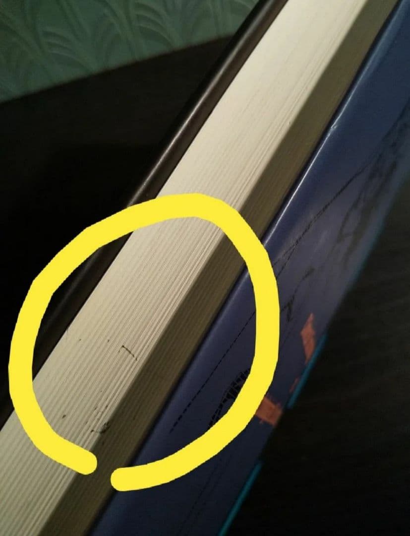 愛知大学文学会叢書８「心理学化する社会」の臨床社会学 ／樫村愛子 著