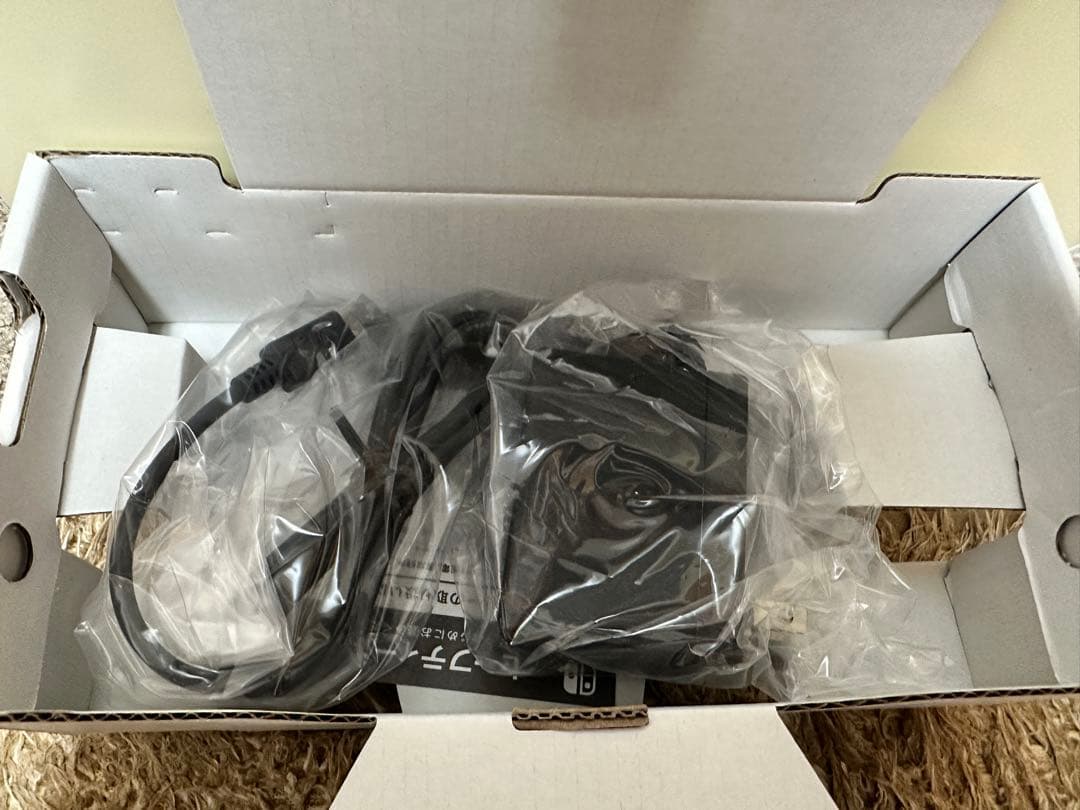 Nintendo Switch Lite 本体(アダプター付き)