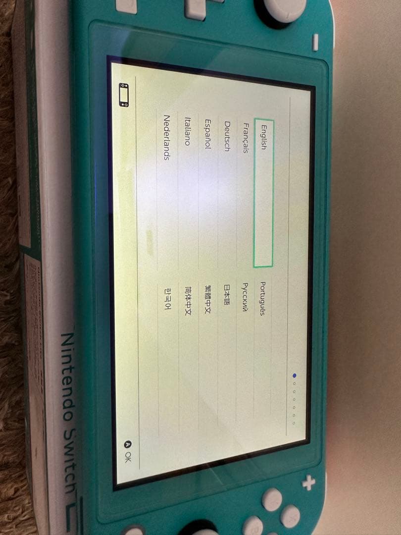 Nintendo Switch Lite 本体(アダプター付き)