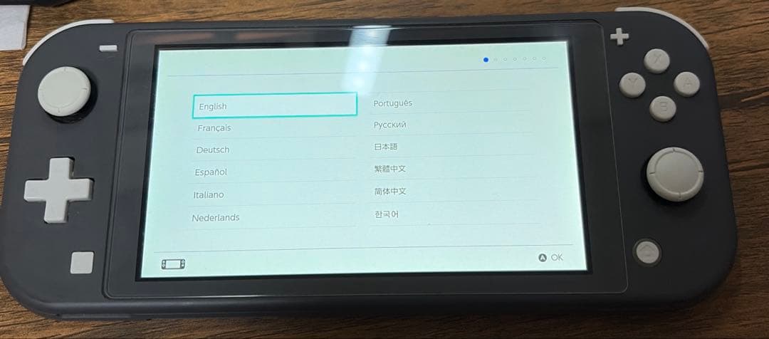 NintendoSwitchLight グレー 本体 カバー 充電器、おまけ付き