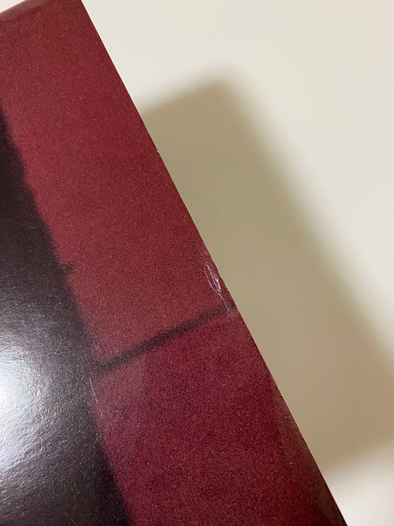 ソールライター 写真集 『Early Color』