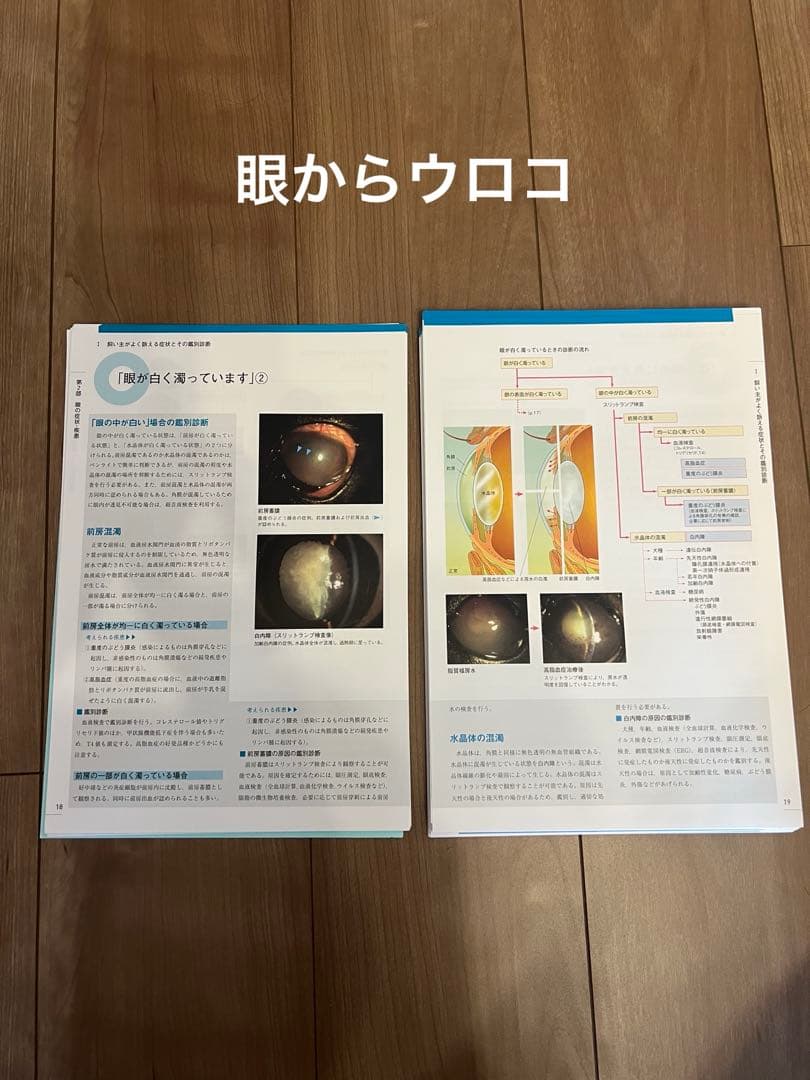【バラ売も可】眼からウロコ・眼からヨミトル 新訂版