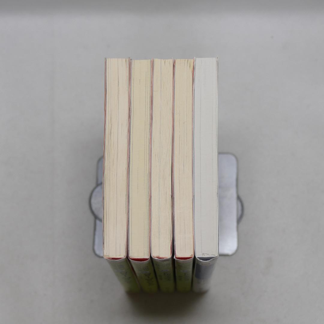 小説 デビルメイクライ 文庫全5冊セット