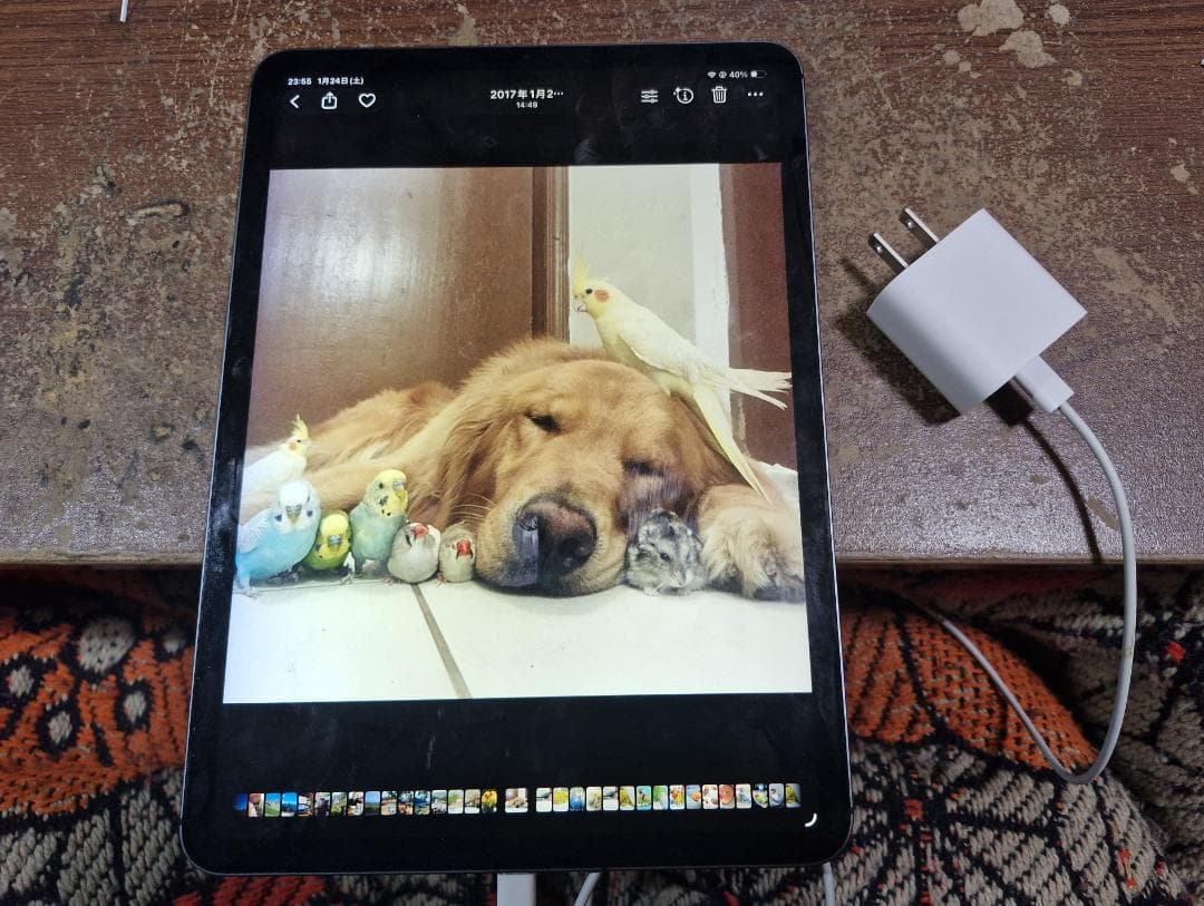 iPad Pro 第1世代 11インチ 64GB Wi-Fi+Cellular