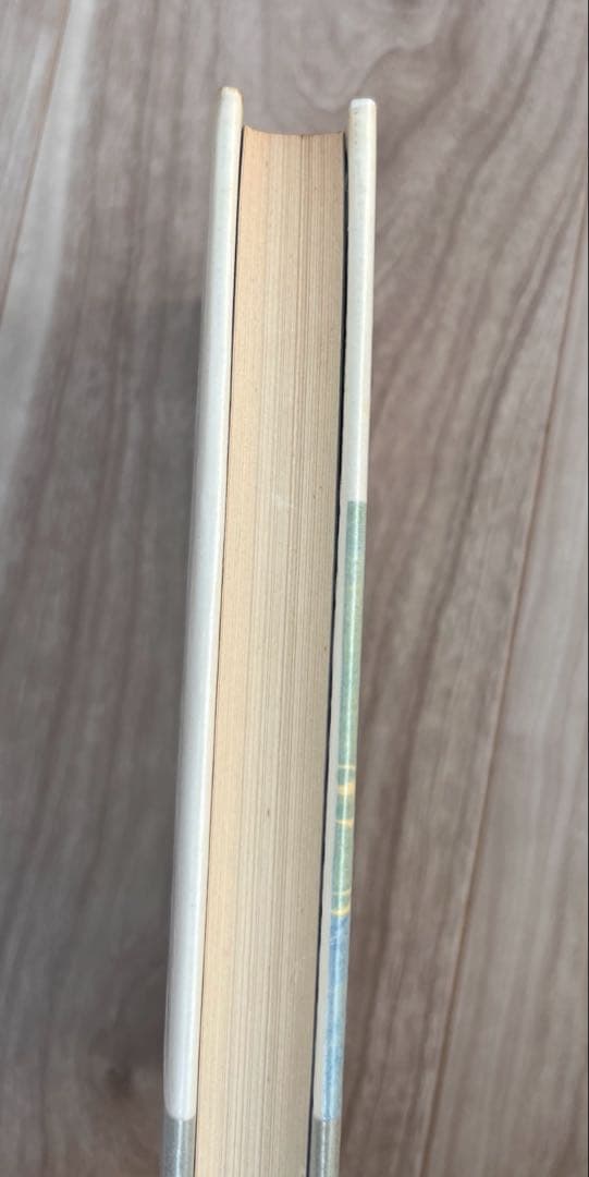 希少　ワニの泪　岡田睦　帯付き　初版　河出書房新社