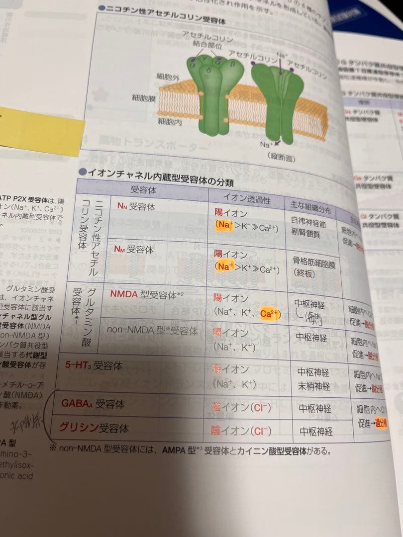 110回薬剤師国家試験青本青問9冊セット