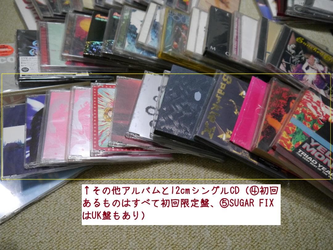 THE YELLOW MONKEYコレクション50点＋おまけ