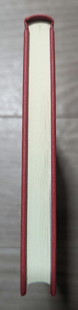 姫君の青い鳩 エースコンバット5