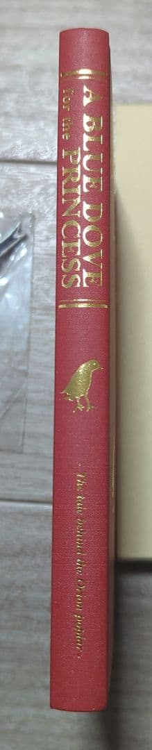 姫君の青い鳩 エースコンバット5