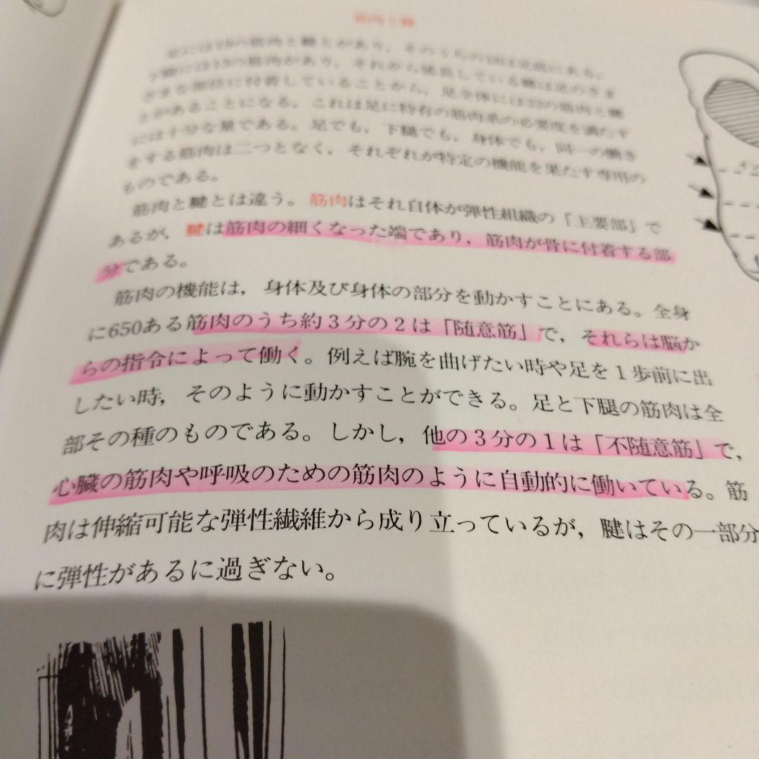 プロフェッショナルシューフィッティング　靴合わせのプロ