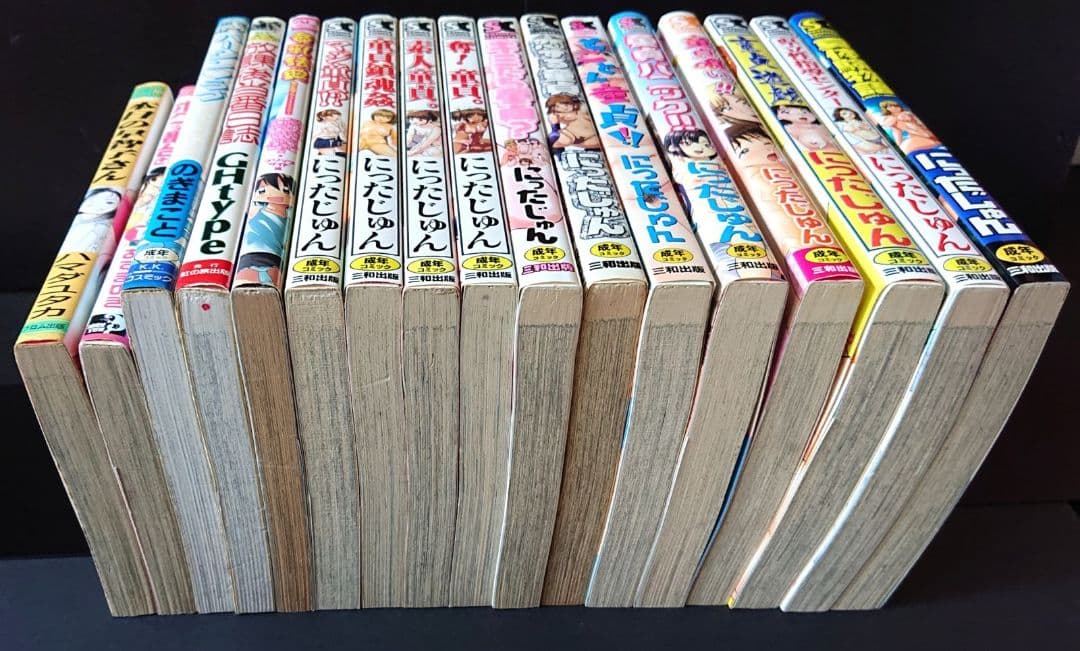 にったじゅん12冊＋他5冊 まとめセット