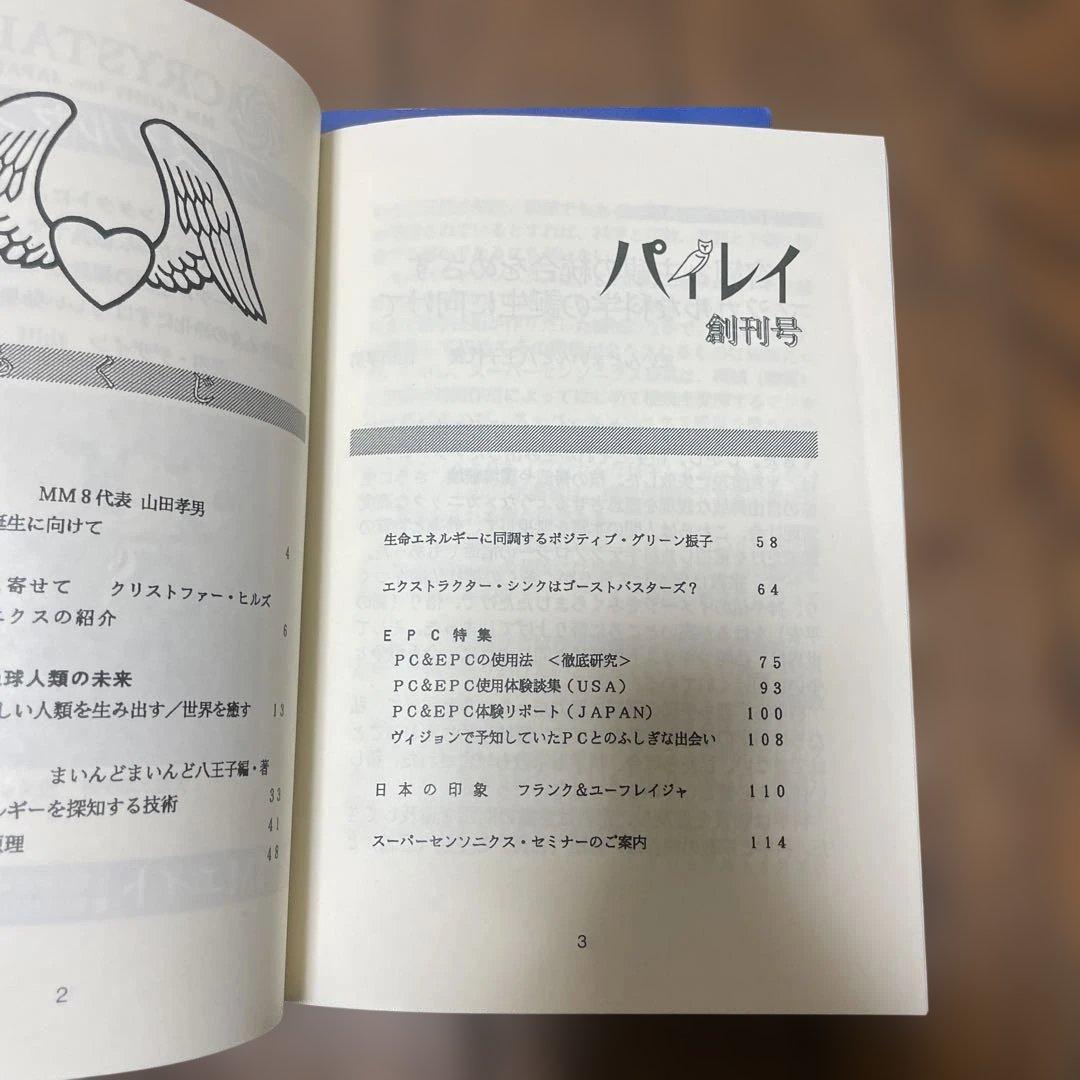 パイレイ 創刊号-第2号　セット　マジカルサイエンスマガジン