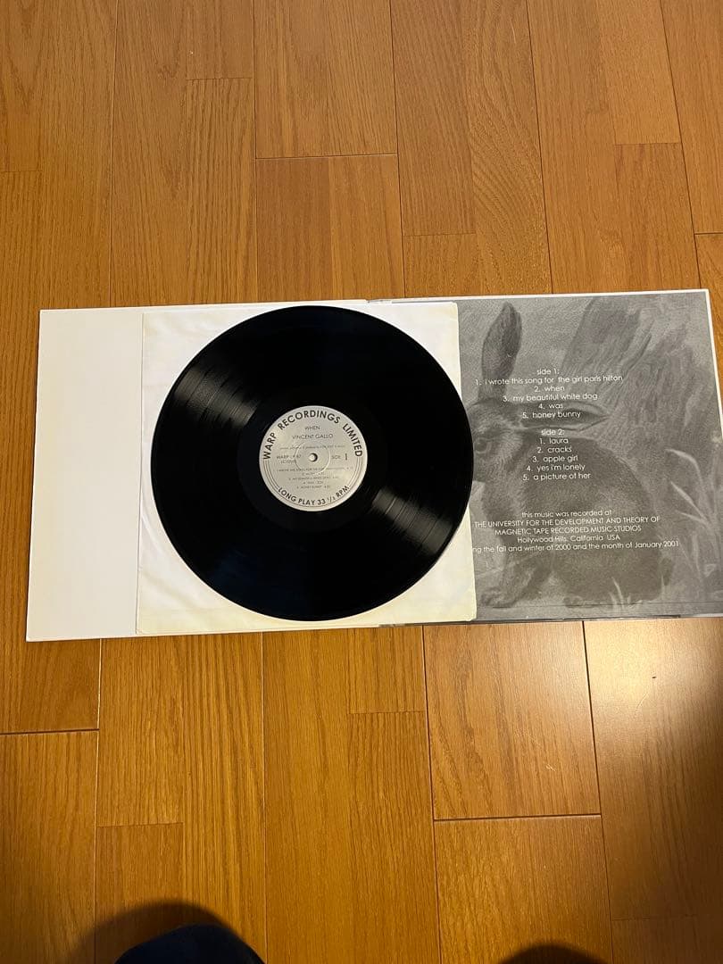 Vincent Gallo When レコード　lp ヴィンセント　ギャロ