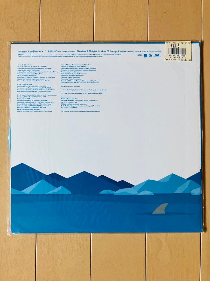 貴重盤 10インチレコード リップスライム 楽園ベイベー