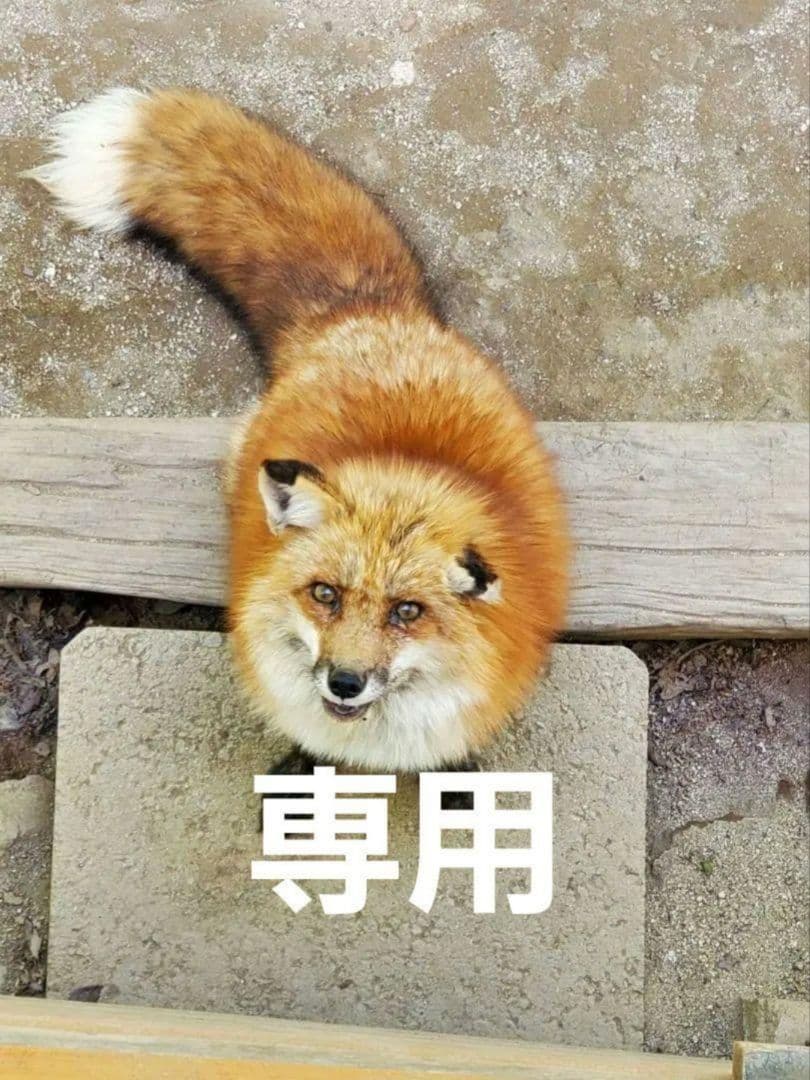 ３月分　じゅん